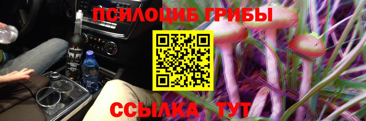 Мариинск  Псилоцибиновые грибы прущие грибы  где купить наркоту  Вход с VPN 